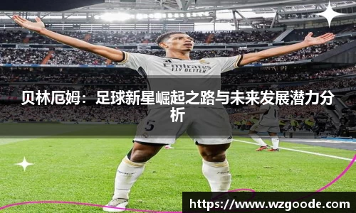w66利来