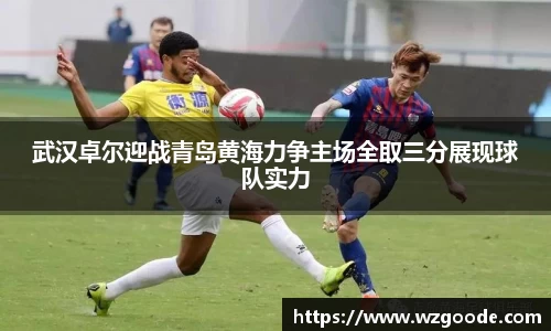 w66国际
